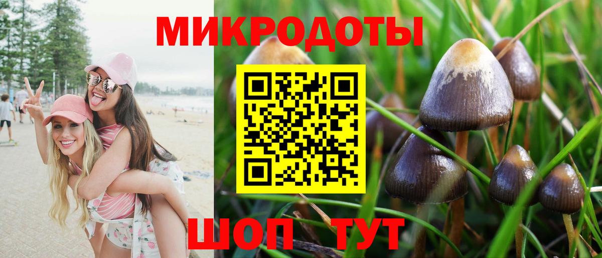 Псилоцибиновые грибы Magic Shrooms Дальнереченск